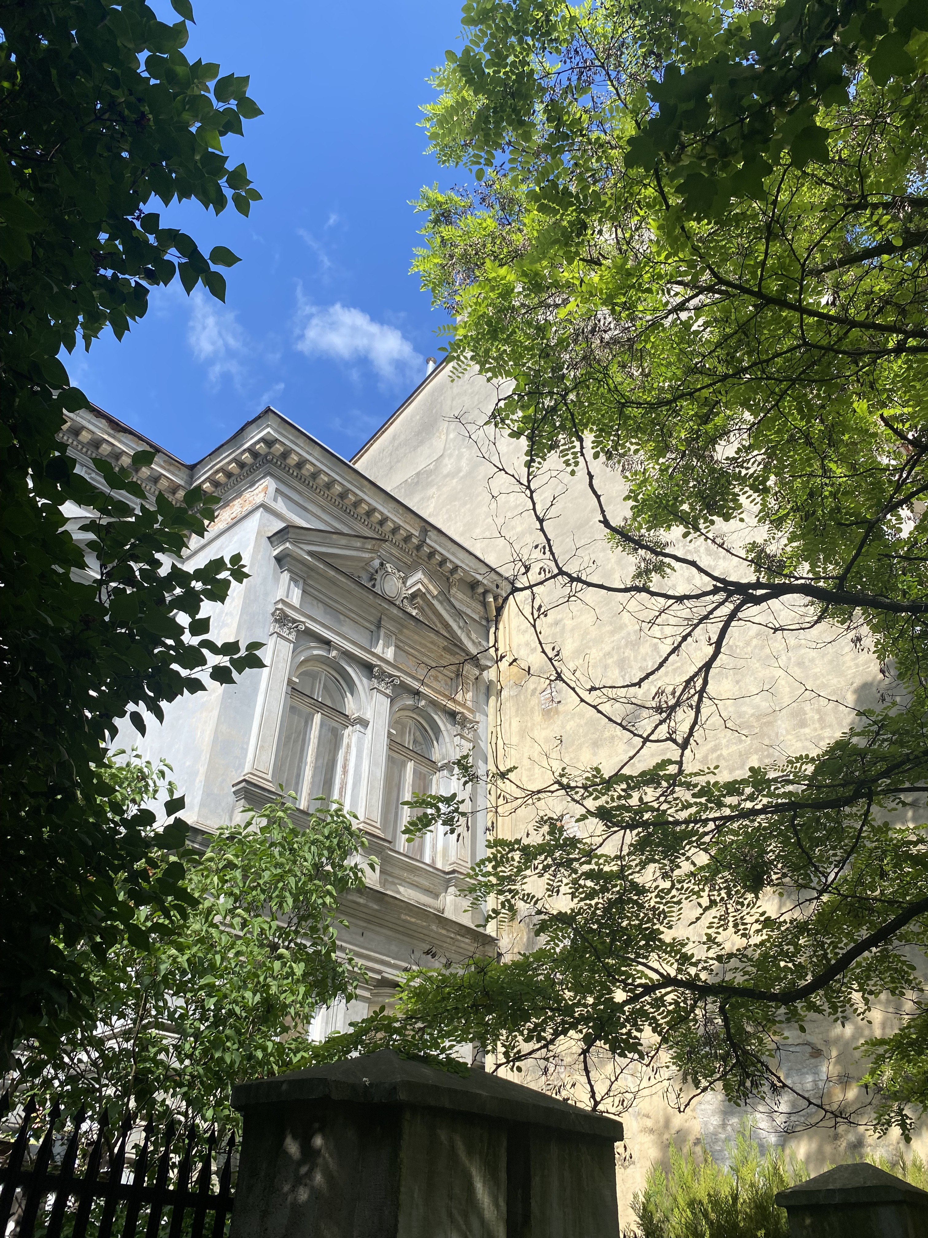 Façade haussmannienne vue entre les arbres, Lille