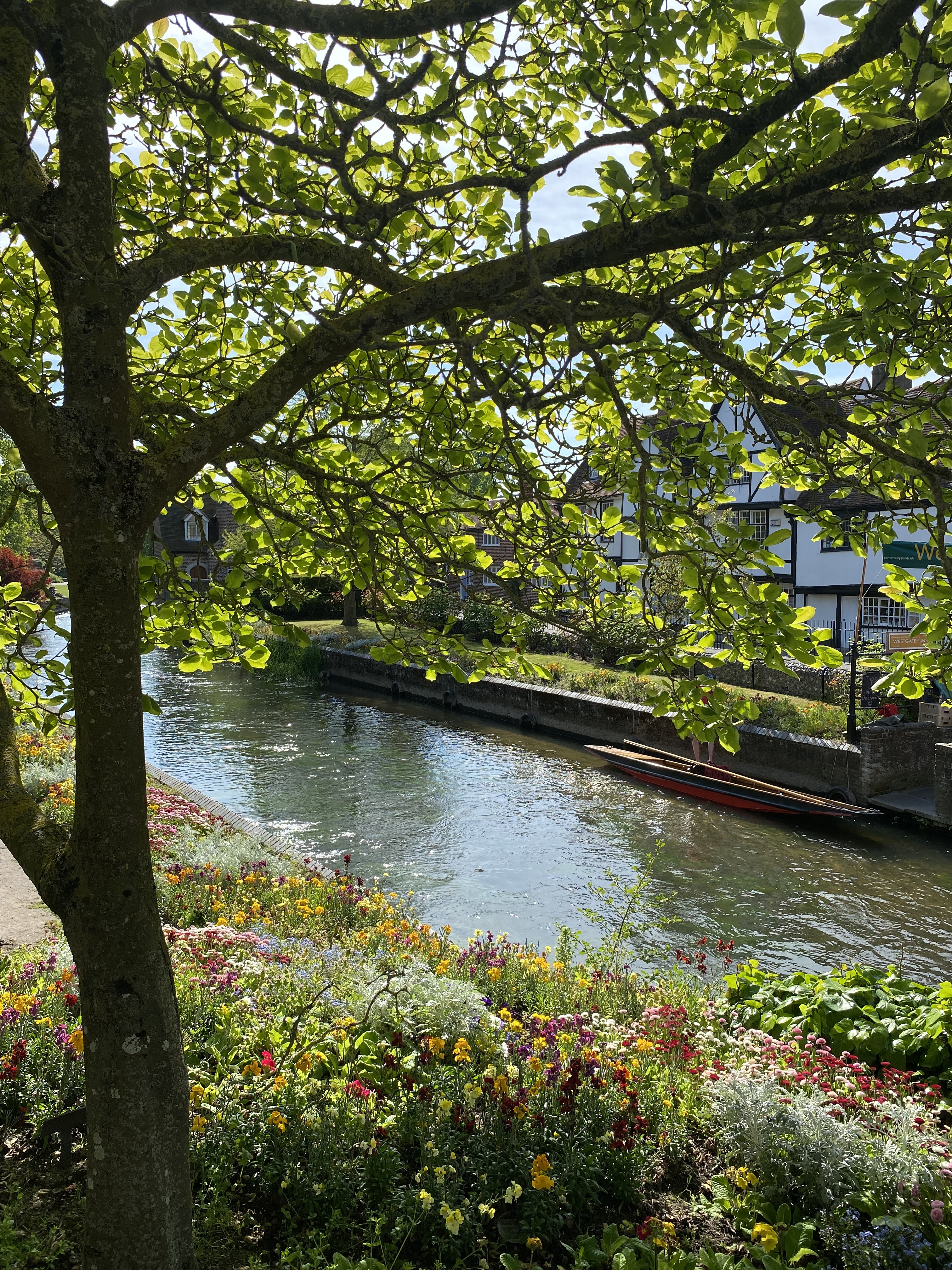 Rivière et jardins fleuris de Canterbury